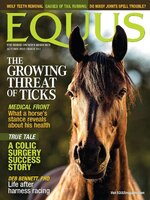 Equus